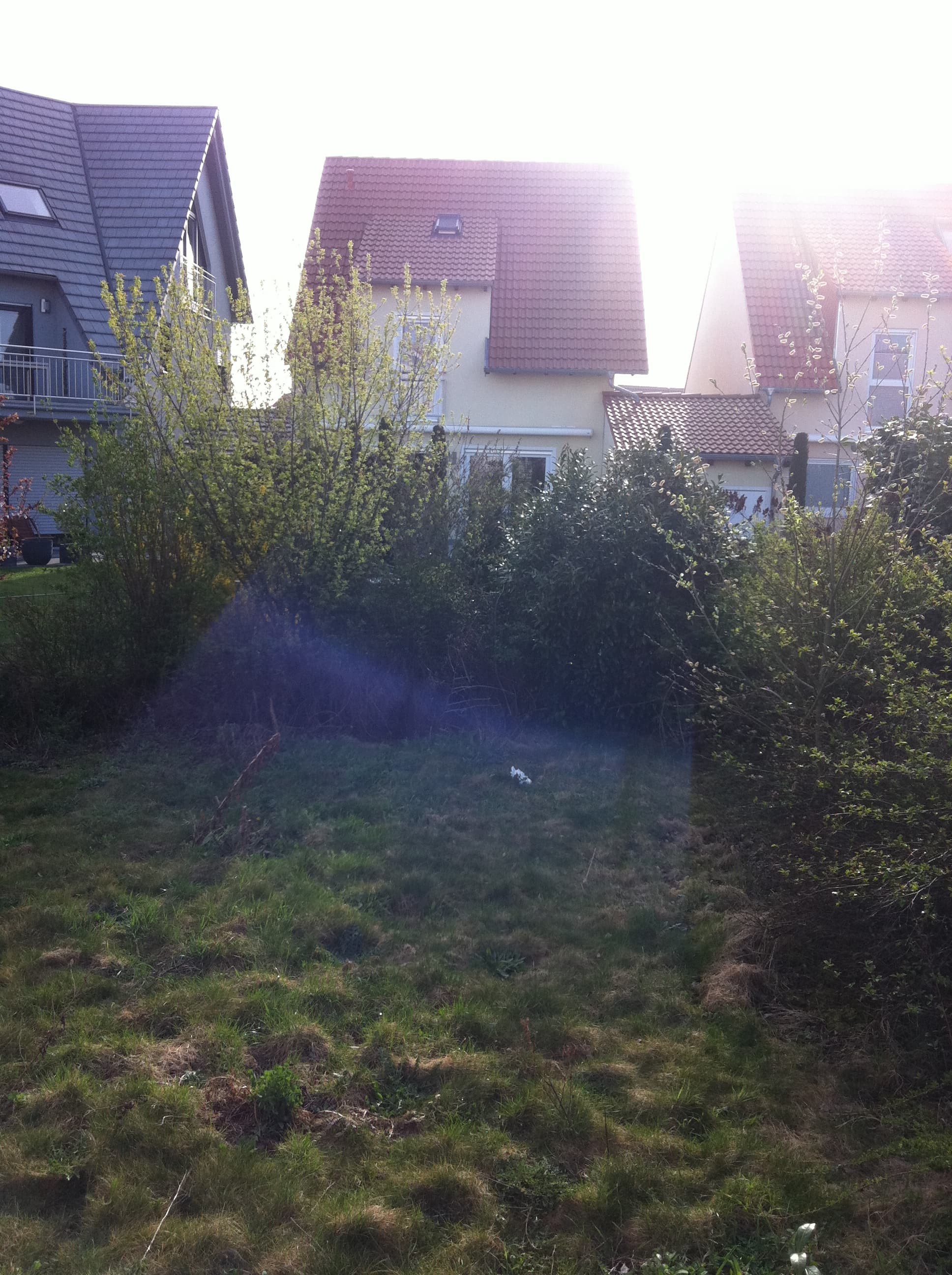 Gartenarbeit 16