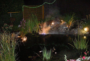 Gartenpflege & Rasenpflege