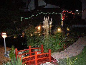 Baumpflege & Baumfällung